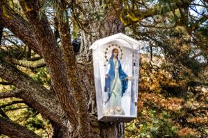Garabandal: El Mensaje de Esperanza de la Virgen que Aún Conmueve al Mundo